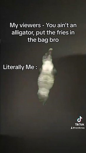 Dancing Alligator Meme