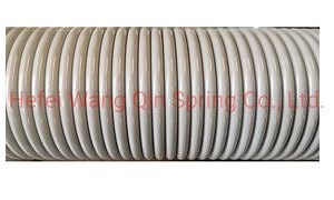 [Hot Item] New Item Powder Coating Spring with Different Sizes