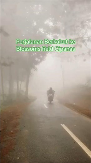 𝗠𝗲𝗻𝗷𝗲𝗹𝗮𝗷𝗮𝗵 𝗕𝗹𝗼𝘀𝘀𝗼𝗺𝘀 𝗙𝗶𝗲𝗹𝗱 𝗖𝗶𝗽𝗮𝗻𝗮𝘀 𝗱𝗶 𝗧𝗲𝗻𝗴𝗮𝗵 𝗞𝗮𝗯𝘂𝘁 𝘆𝗮𝗻𝗴 𝗗𝗶𝗻𝗴𝗶𝗻 #tanahinvestasi #hanjawongvillas