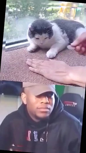 #foryou #funny #fpy #funnyvideos