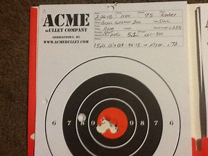 Sport pistol powder with 45 acp