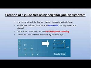 Multiple Sequence Alignments 1