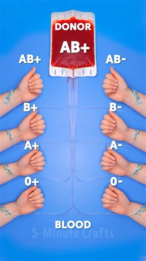 5-Minute Crafts on Reels