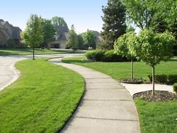 A Quick Guide to Landscape Design