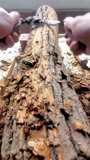 stripping brown bark from large wooden logs with a sharp metal drawknife for building construction