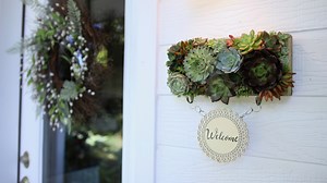 47K views · 840 reactions | A shadow box of succulents for your porch... | Proven Winners | Facebook