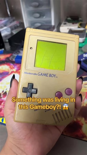 Discover What Lives Inside This Gameboy!