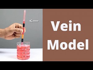 Vein Model | ThinkTac