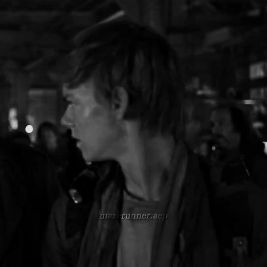 i'm backk #mazerunner #newtmazerunner #thomasbrodiesangster #fypp #newt