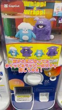 お盆休み、みんな楽しんでる？熱中症に気をつけてください。#ガチャガチャ #ホイッピ #ホイッピ&ラッピ #可愛い #ぬぼきゃわ #開封動画