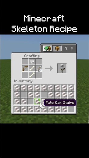 Minecraft Skeleton Recipe…😱 | SP4RK OG