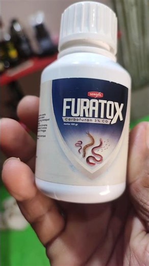 exterminate centipedes