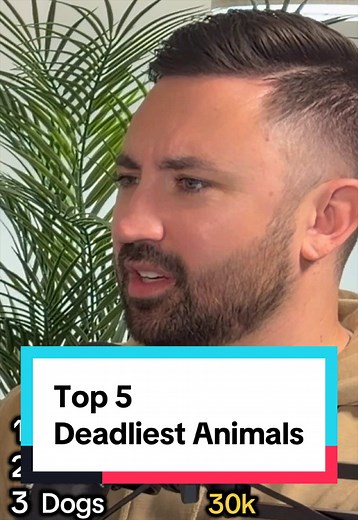 Top 5 Deadliest Animals #trivia #deadliestanimals #offtopic | fresh water snails