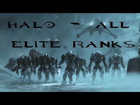 Halo - All Elite / Sangheili Ranks