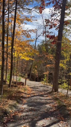 We’re falling for these autumnal campus views 🍁🍂 | Cornell Engineering