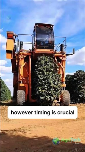 This Machine Does the Work of 50 Farmers #coffee #harvesting