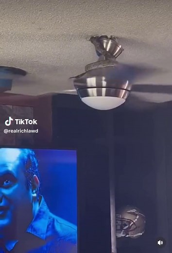 Snake sneaks in house through ceiling fan #reptiles #snakelover #python #fypシ #polizei #fan #bigsnake #viralvideo #scarytiktoks #scarystories #target #pranks #help