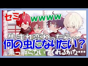 [SoraMafuUraSaka Clip] Soraru Hijacked Mafumafu's talking (Uratanuki/Tonarino Sakata.) [2023/09/20]