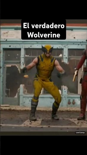 The real Wolverine "Glutton" (Gulo Gulo) 🦡 #DidYouKnow #science #animals #biology #nature