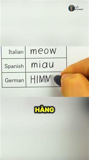 Tiếng Đức Là Ngôn Ngữ Khó Nhất Trên Thế Giới 🧑‍🎓😱