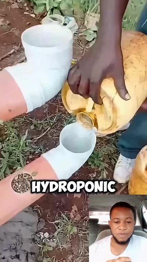 Water filtering process 😱 | Bestie101