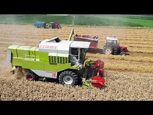 CLAAS DOMINATOR 78 SL | Harvest | Zetva Psenice