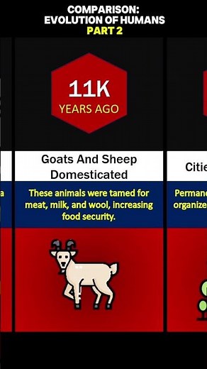 Human Evolution Timeline – How We Changed Over Time (PART 2)