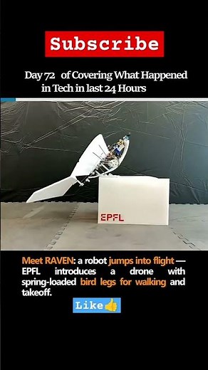 Robotic bird vs real bird 🐦🕊️