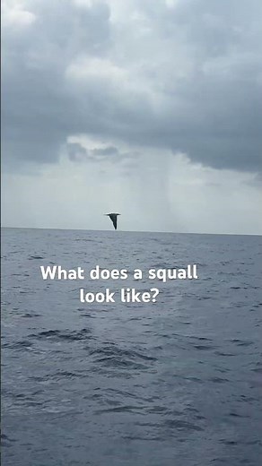 What does a squall look like?
