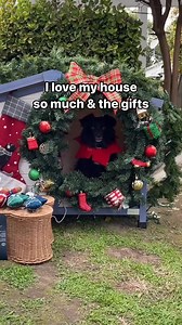 175.Sweet Vader boy gets a super special extra day to his advent calendar thanks to all his friends! 🙏🏻❤️🥹 You guys are the best!Although his advent calendar is over now, stick around to see the rest of | Becca Sky