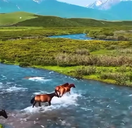 56K views · 7.5K reactions |  | Nature | Facebook