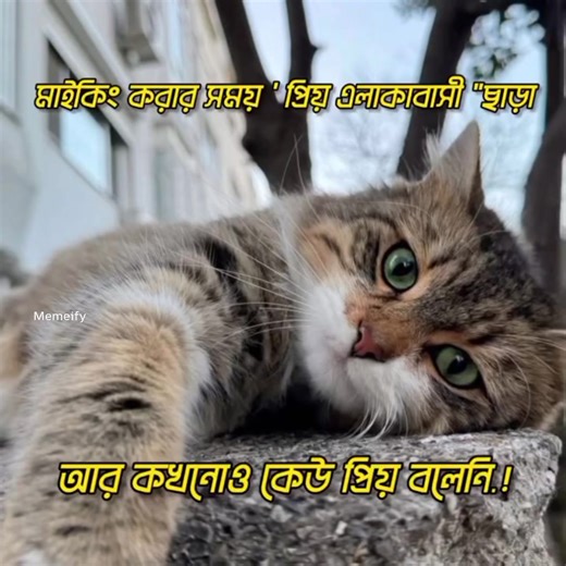 Kare dekhabo??🥹 | Memeify
