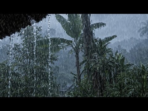 Real Heavy Mountain Rain & Thunder 🌧️⛈️ | 3 Hours for Deep Sleep