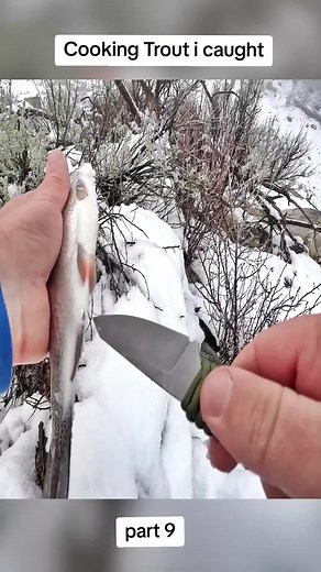 Cooking Trout Outdoors: A Quick Guide to Trout Tacos