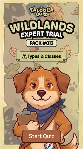 Types & Classes 🐾 Wildlands Quiz | Expert Level | Pack 013 | #taloolaquiz