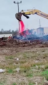 36M views · 178K reactions | i seriously have to find a new job... | Adam Rose | Facebook