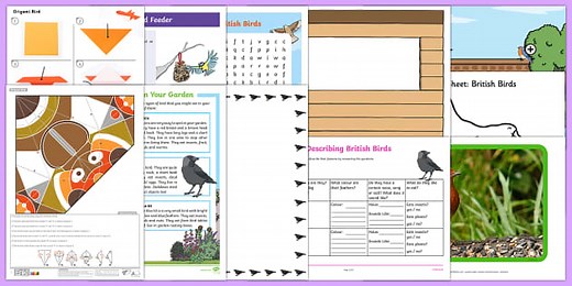 British Birds Resource Pack