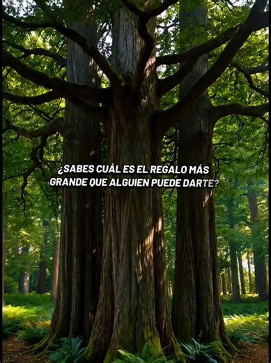 #reflexiones #motivation