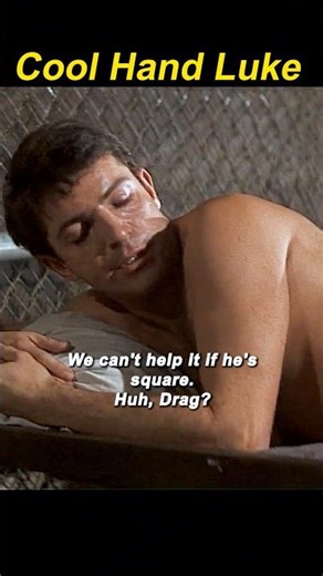 Cool Hand Luke (1967) | Prison Break Chaos ⛓️💥