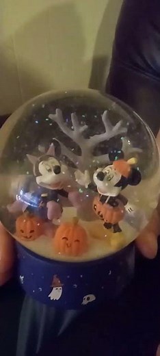 Disney snow globe #disney