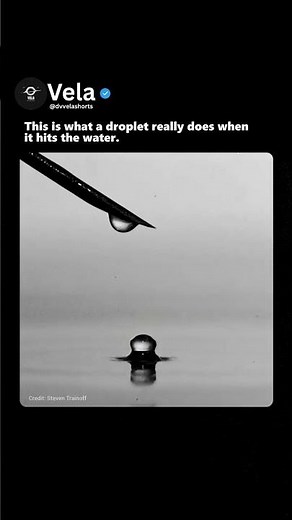 The Physics of a Single Water Droplet