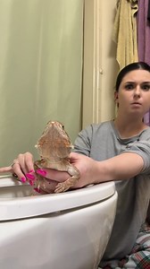 A potty trained lizard 😳 Original Clip: Instagram - @livvkap | How to DAD
