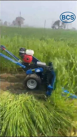 BCS Self Propelled Reaper (CROP REAPER) #farming #agriculture #paddy #maize