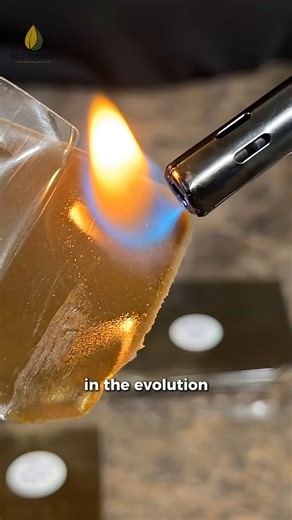 Post by Sambo Creeck Filtration on X: 😇