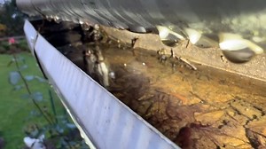 “Never clean your gutters again!” …Until you actually look underneath the guard.  Watch this  Would you trust a system that claims it needs zero maintenance? Drop a  or  #HomeInspector #GutterIssues #LeafGuardTruth #SeattleHomes #PNWhomes #HomeMaintenance Medina WA, Bellevue WA,Seattle WA, Redmond WA | First Choice Home Inspection | Facebook