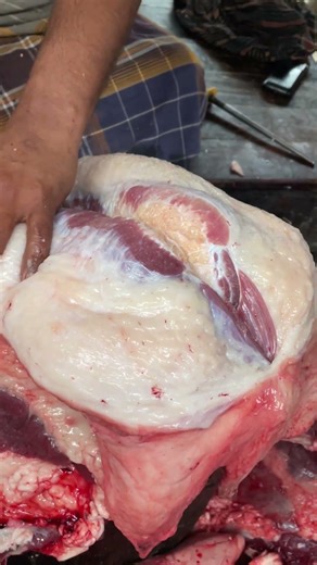 nice sina process skill #meatmarket #best #meatindustry #foodprocessing #shorts