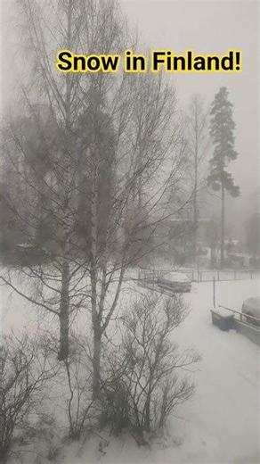 snow fall in Finland!