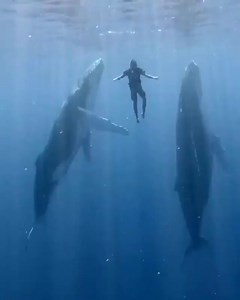 6.6K views · 294 reactions | Discover the magic of the deep blue sea...