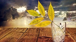 【多相流计算】06：油箱晃动