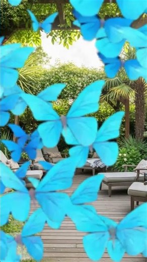 🏡✨ Backyard Without Grass | Low-Maintenance & Stunning Lawn Alternatives 🏡🌿